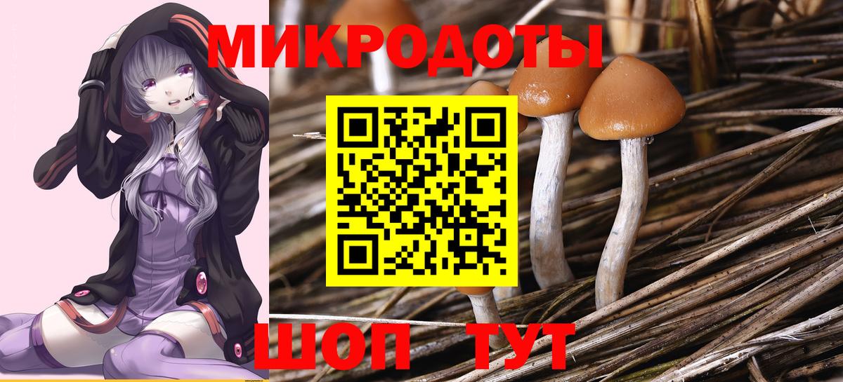 Богородицк  Псилоцибиновые грибы мухоморы  Вход с VPN 