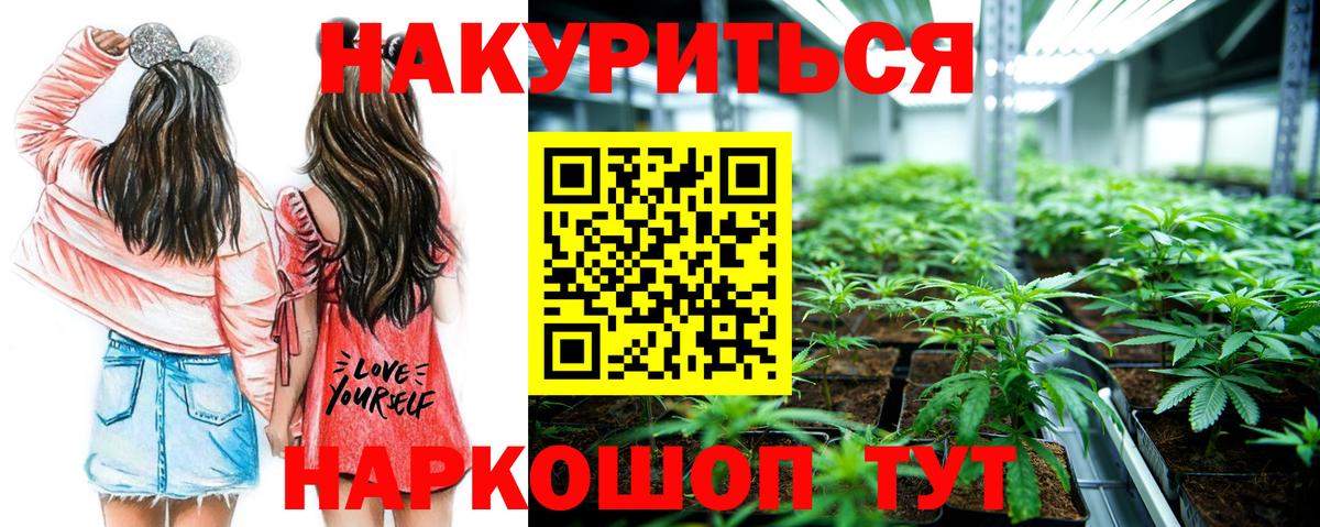 МАРИХУАНА семена Богородицк